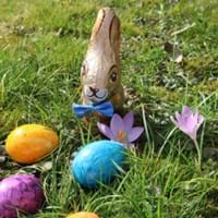Ostern Hase und Eier